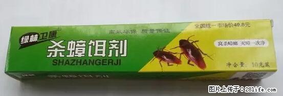 【紧急提醒】如果有“防疫站工作人员”上门灭杀蟑螂，请立刻报警 - 灌水专区 - 荆州生活社区 - 荆州28生活网 jingzhou.28life.net