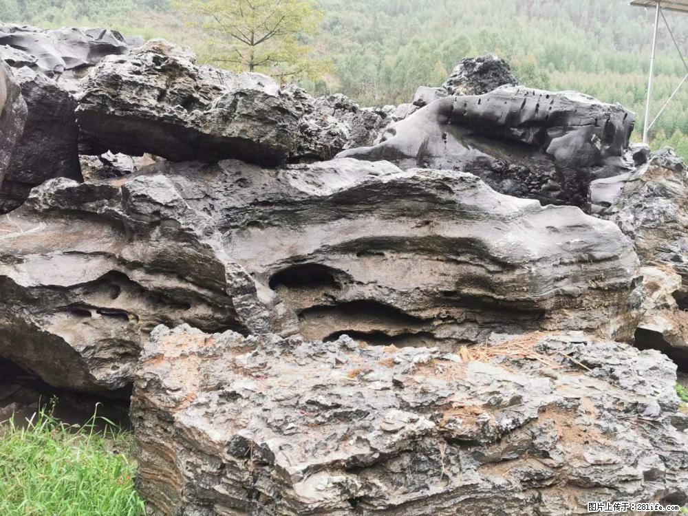 风景石、假山石大量有货，有需要的欢迎联系 - 新手上路 - 荆州生活社区 - 荆州28生活网 jingzhou.28life.net