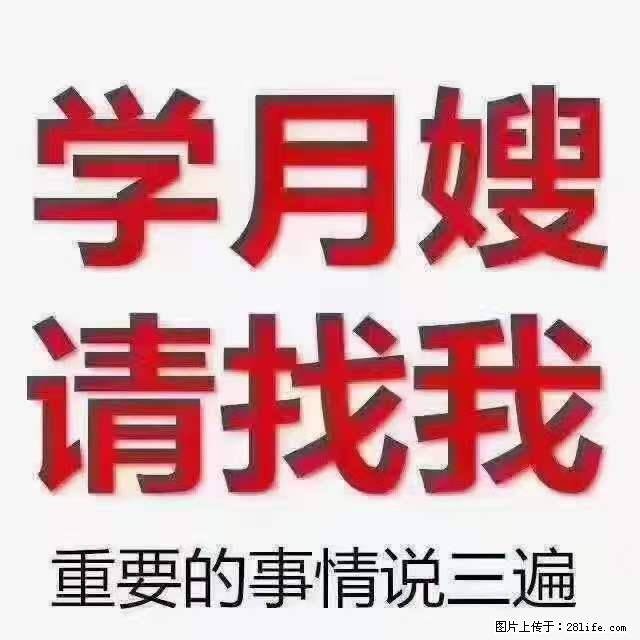 为什么要学习月嫂，育婴师？ - 其他广告 - 广告专区 - 荆州分类信息 - 荆州28生活网 jingzhou.28life.net