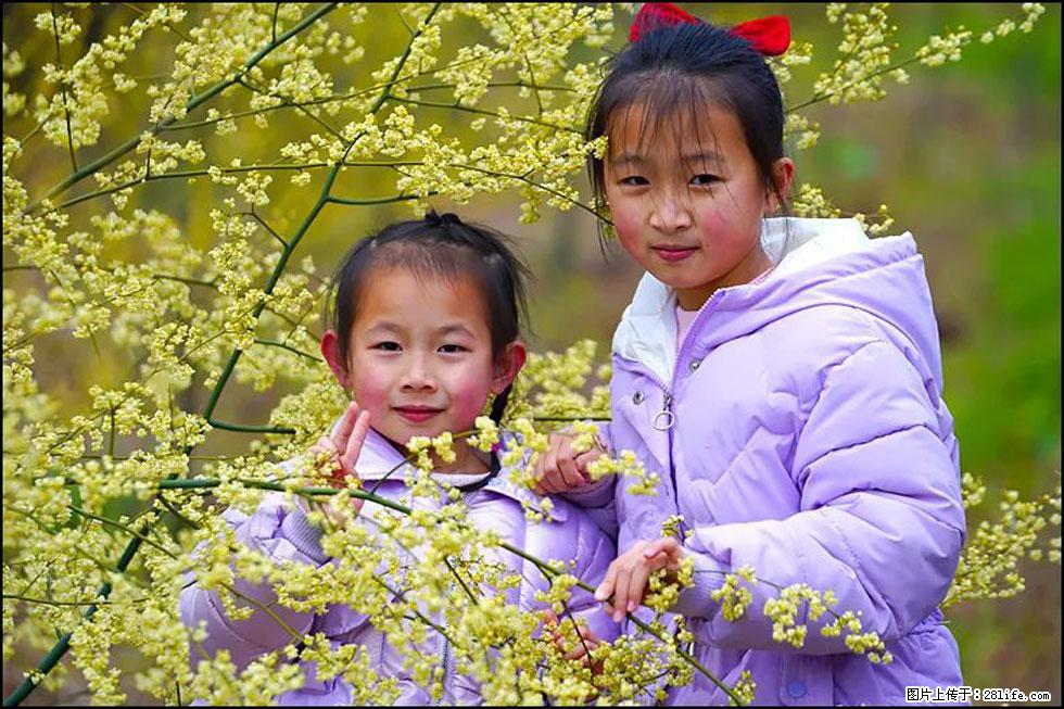 【春天，广西桂林灌阳县向您发出邀请！】米珠山前有片山苍子花在飘香 - 游山玩水 - 荆州生活社区 - 荆州28生活网 jingzhou.28life.net