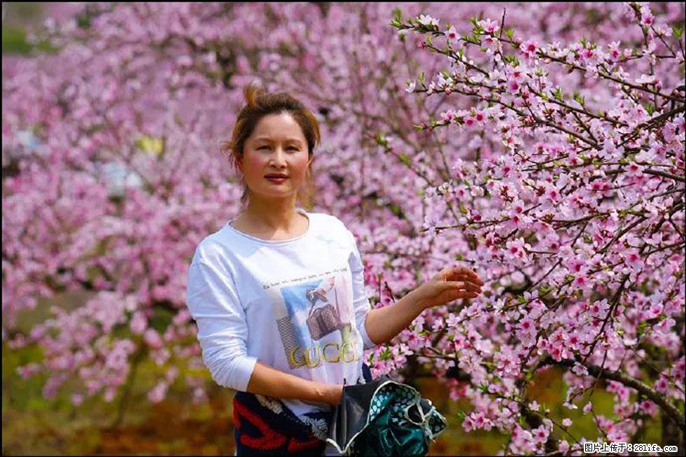 【春天，广西桂林灌阳县向您发出邀请！】官庄村有个醉美的桃花园 - 游山玩水 - 荆州生活社区 - 荆州28生活网 jingzhou.28life.net