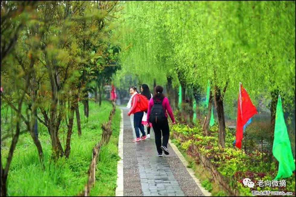 【春天，广西桂林灌阳县向您发出邀请！】江口老街又逢春 - 游山玩水 - 荆州生活社区 - 荆州28生活网 jingzhou.28life.net