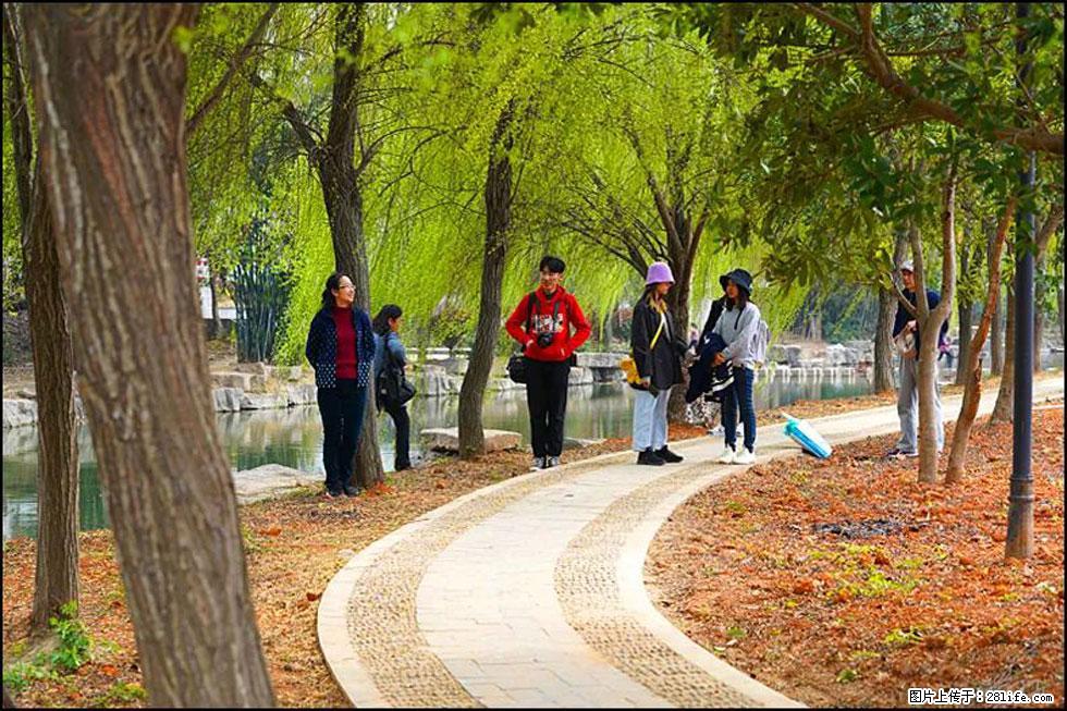 【春天，广西桂林灌阳县向您发出邀请！】江口老街又逢春 - 游山玩水 - 荆州生活社区 - 荆州28生活网 jingzhou.28life.net