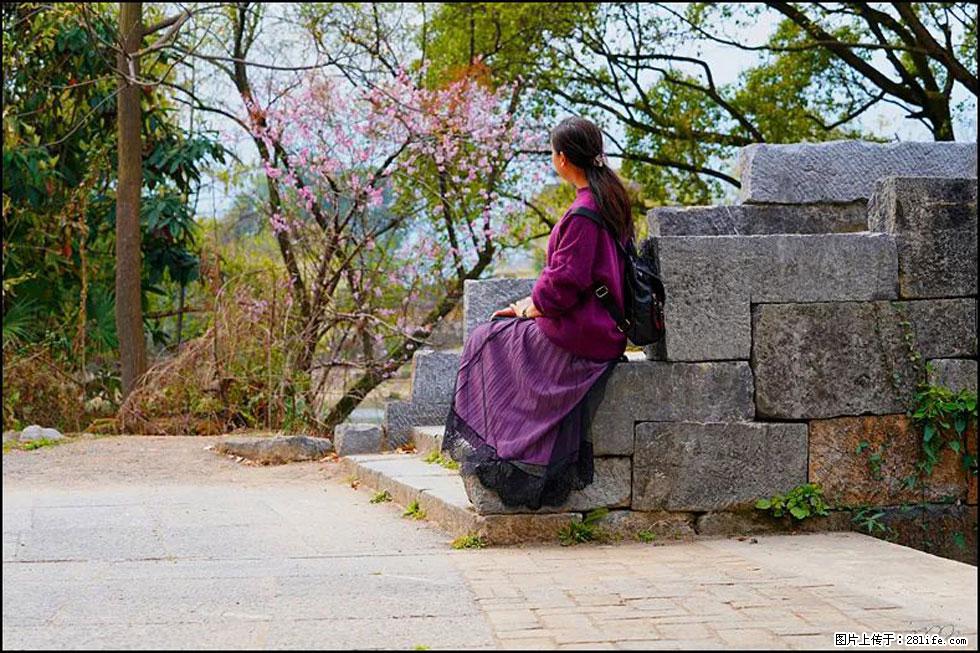 【春天，广西桂林灌阳县向您发出邀请！】江口老街又逢春 - 游山玩水 - 荆州生活社区 - 荆州28生活网 jingzhou.28life.net