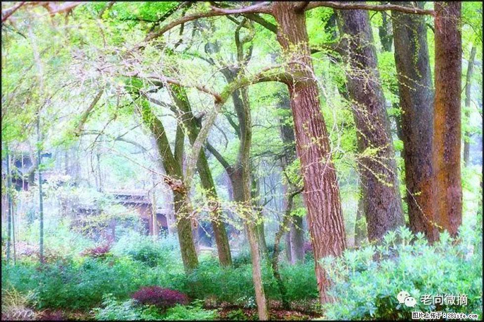 【春天，广西桂林灌阳县向您发出邀请！】在小龙村与春天约会 - 游山玩水 - 荆州生活社区 - 荆州28生活网 jingzhou.28life.net