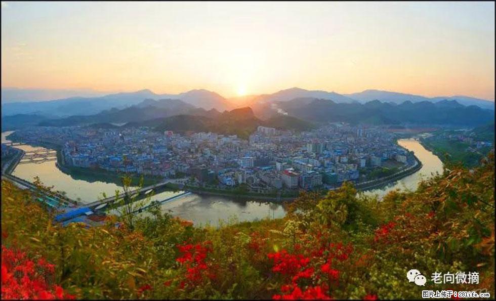 【春天，广西桂林灌阳县向您发出邀请！】登麒麟山，相约映山红 - 游山玩水 - 荆州生活社区 - 荆州28生活网 jingzhou.28life.net