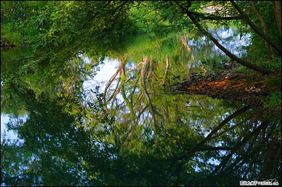 【春天，广西桂林灌阳县向您发出邀请！】熊家寨湿地公园 - 游山玩水 - 荆州生活社区 - 荆州28生活网 jingzhou.28life.net