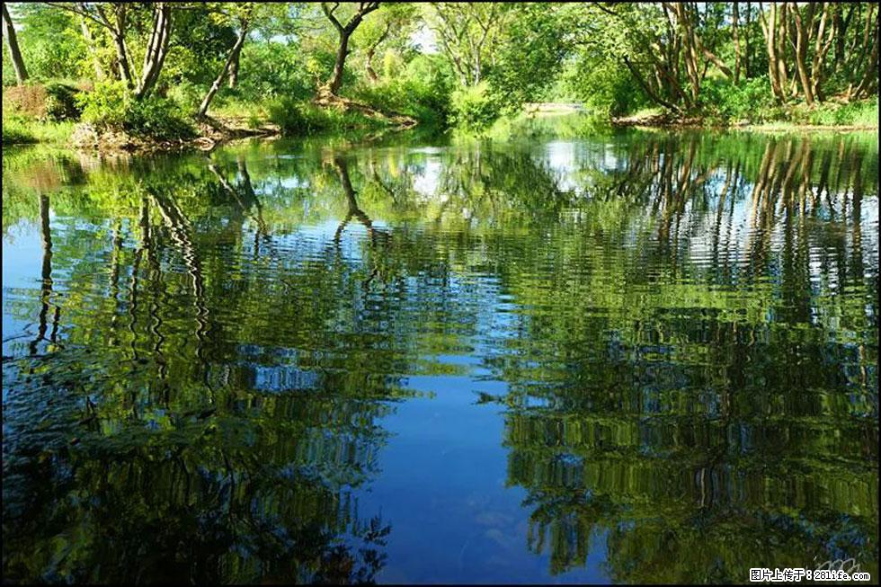 【春天，广西桂林灌阳县向您发出邀请！】熊家寨湿地公园 - 游山玩水 - 荆州生活社区 - 荆州28生活网 jingzhou.28life.net