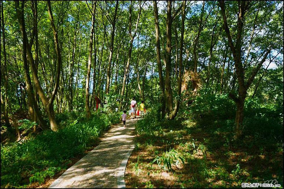 【春天，广西桂林灌阳县向您发出邀请！】熊家寨湿地公园 - 游山玩水 - 荆州生活社区 - 荆州28生活网 jingzhou.28life.net
