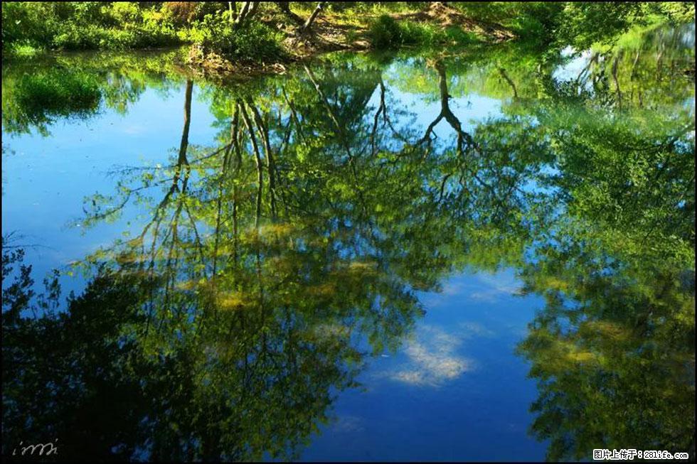 【春天，广西桂林灌阳县向您发出邀请！】熊家寨湿地公园 - 游山玩水 - 荆州生活社区 - 荆州28生活网 jingzhou.28life.net