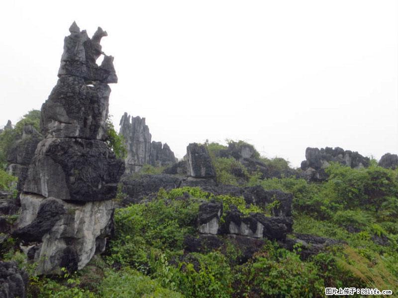 桂林旅游名城景点：灌阳文市石林 - 游山玩水 - 荆州生活社区 - 荆州28生活网 jingzhou.28life.net