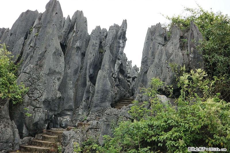 桂林旅游名城景点：灌阳文市石林 - 游山玩水 - 荆州生活社区 - 荆州28生活网 jingzhou.28life.net