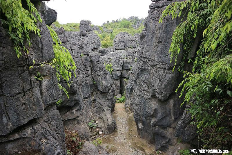 桂林旅游名城景点：灌阳文市石林 - 游山玩水 - 荆州生活社区 - 荆州28生活网 jingzhou.28life.net