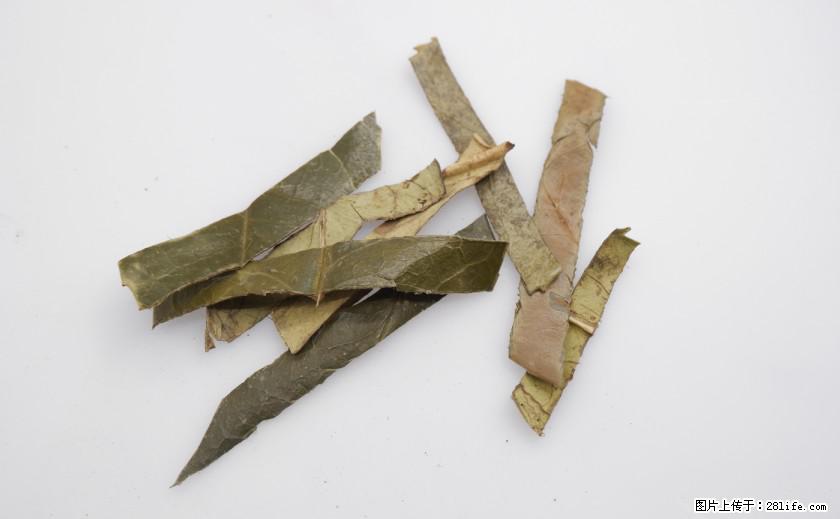 苦丁茶有哪些功效和作用 - 生活百科 - 荆州生活社区 - 荆州28生活网 jingzhou.28life.net
