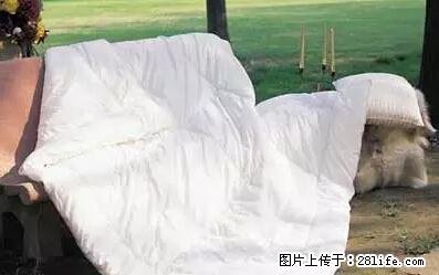 被子有异味?只要这样做,比晒太阳还强100倍! - 家居生活 - 荆州生活社区 - 荆州28生活网 jingzhou.28life.net