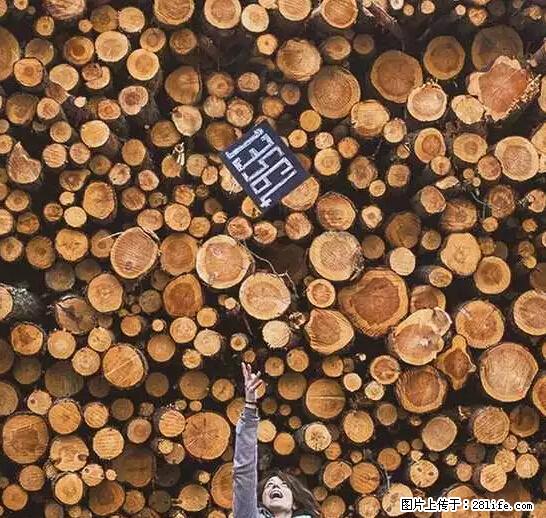 辞掉工作周游世界？现在他们在洗厕所…… - 游山玩水 - 荆州生活社区 - 荆州28生活网 jingzhou.28life.net
