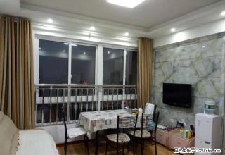 红门路红景嘉园电梯楼新装修一室一厅出租 - 荆州28生活网 jingzhou.28life.net