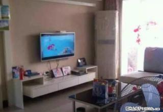 阳光青年城精装3房出租 - 荆州28生活网 jingzhou.28life.net
