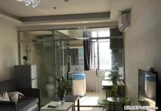 电梯小区房， 家具家电齐全，全新装修 - 荆州28生活网 jingzhou.28life.net
