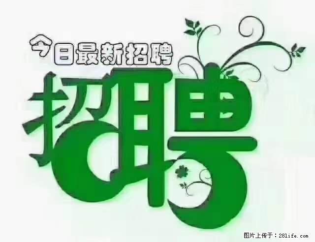 【招聘摄像师】待遇：试用期6000元/月，转正7000元/月+五险一金+餐补+节日福利+奖金 - 职场交流 - 荆州生活社区 - 荆州28生活网 jingzhou.28life.net