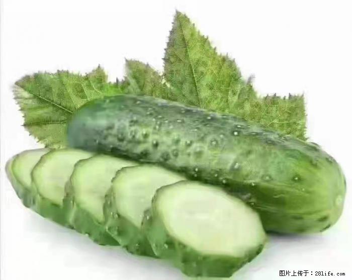 【生活小常识】吃黄瓜的好处 - 生活百科 - 荆州生活社区 - 荆州28生活网 jingzhou.28life.net