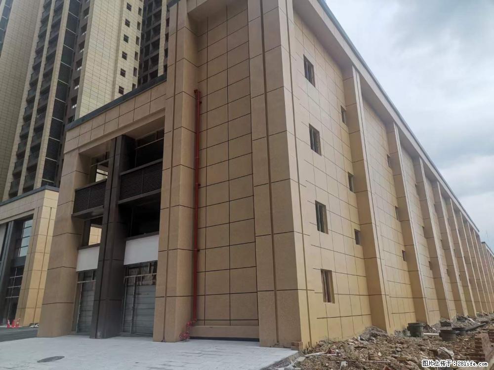 【广西三象建筑安装工程有限公司】外墙涂料工程 - 新手上路 - 荆州生活社区 - 荆州28生活网 jingzhou.28life.net