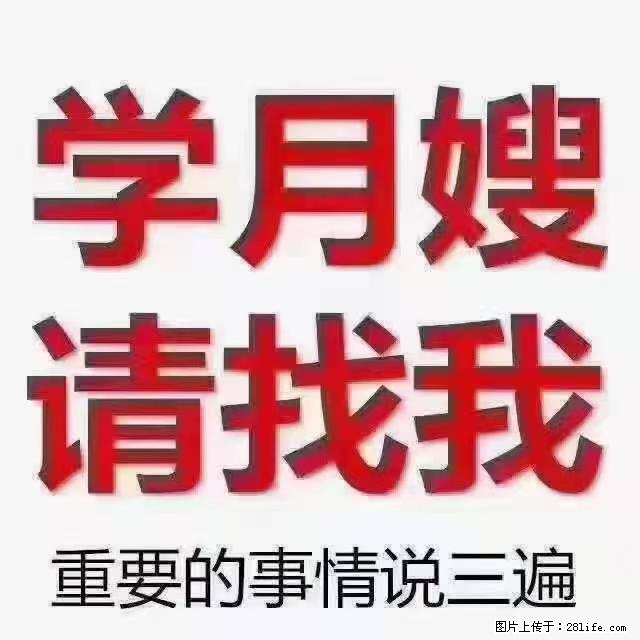 【招聘】月嫂，上海徐汇区 - 职场交流 - 荆州生活社区 - 荆州28生活网 jingzhou.28life.net