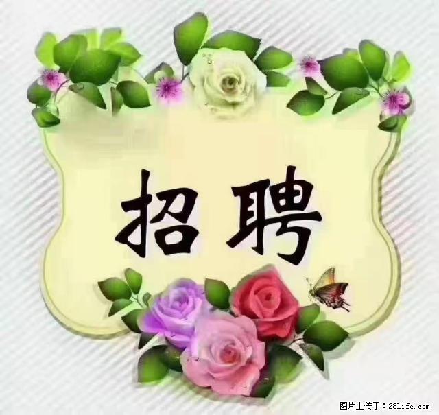 【招聘】住家育儿嫂，上户日期：4月4日，工作地址：上海 黄浦区 - 职场交流 - 荆州生活社区 - 荆州28生活网 jingzhou.28life.net