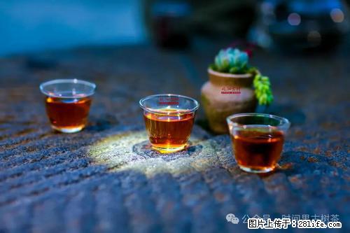 时间果百年古树2025年春红茶 - 购物交流 - 荆州生活社区 - 荆州28生活网 jingzhou.28life.net