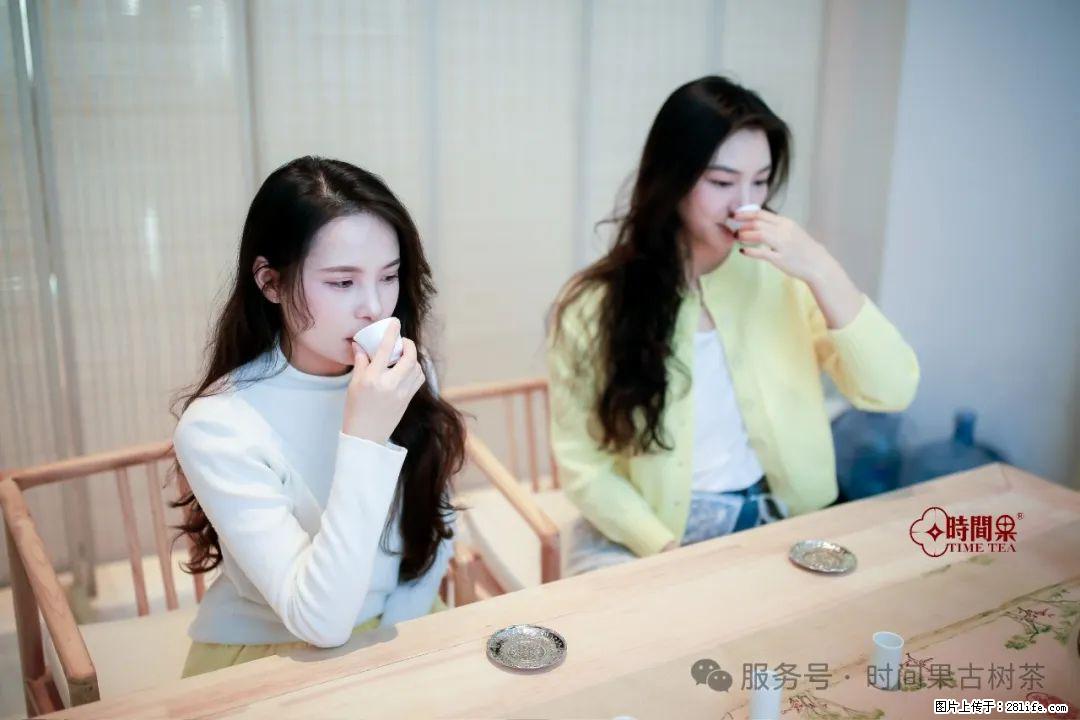 时间果百年古树龙珠普洱生茶 - 购物交流 - 荆州生活社区 - 荆州28生活网 jingzhou.28life.net