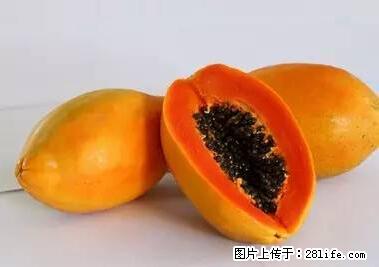 晕车、脚气、牙齿变黄、皮肤粗糙？学会这些三分钟搞定！ - 荆州生活资讯 - 荆州28生活网 jingzhou.28life.net