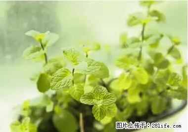 晕车、脚气、牙齿变黄、皮肤粗糙？学会这些三分钟搞定！ - 荆州生活资讯 - 荆州28生活网 jingzhou.28life.net