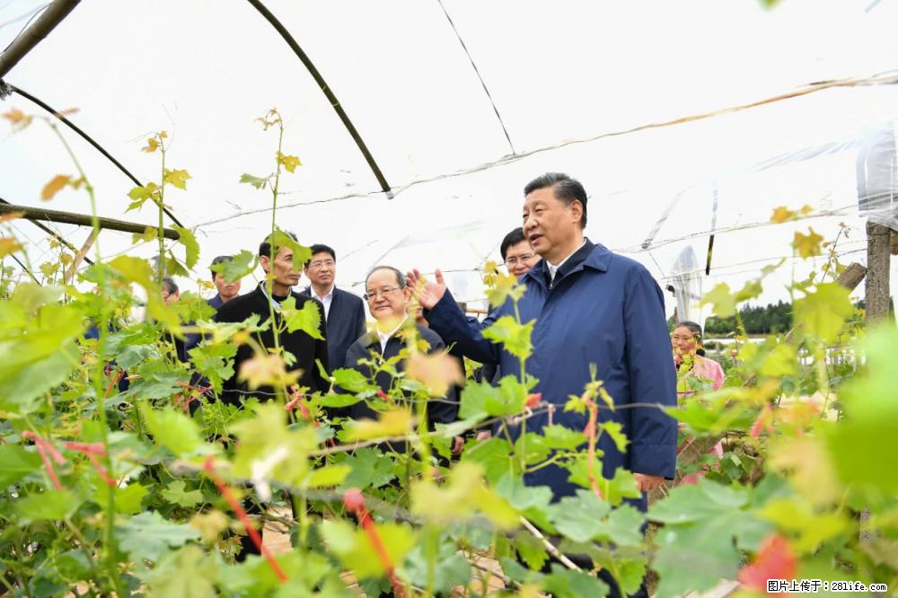 习近平赴广西考察调研 - 荆州生活资讯 - 荆州28生活网 jingzhou.28life.net