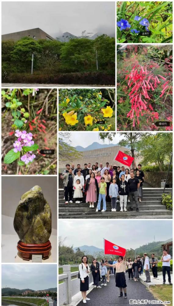 “粤灌文化 美好生活”油茶文化主题活动在广东深圳成功举办 - 荆州生活资讯 - 荆州28生活网 jingzhou.28life.net