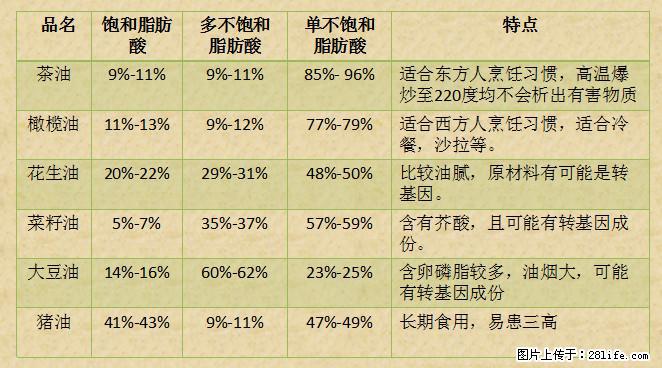 揭秘茶油的5大核心营养成分！被称为人体健康的“守护盾”！ - 荆州生活资讯 - 荆州28生活网 jingzhou.28life.net