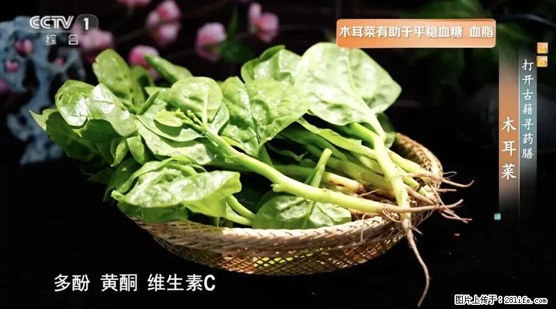 比牛奶补钙还厉害！凉血解毒、稳血糖...这菜冬天必吃，很多人却当草 - 荆州生活资讯 - 荆州28生活网 jingzhou.28life.net