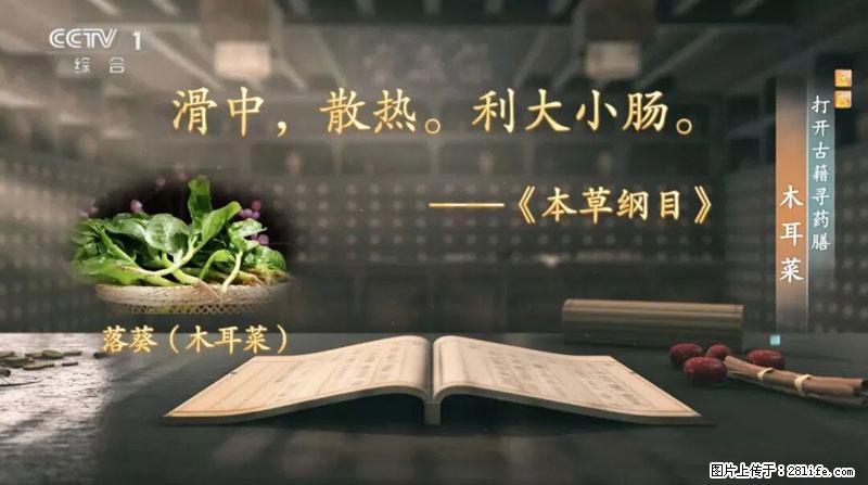 比牛奶补钙还厉害！凉血解毒、稳血糖...这菜冬天必吃，很多人却当草 - 荆州生活资讯 - 荆州28生活网 jingzhou.28life.net