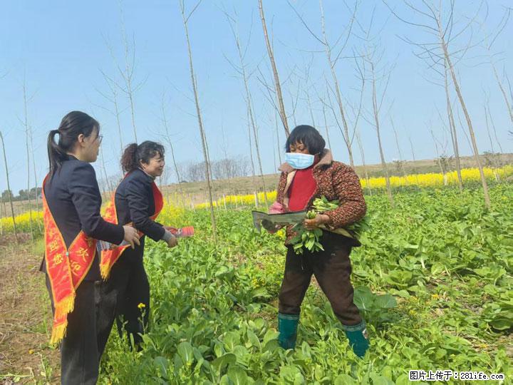 农银人寿荆州中支开展“3·15”金融消费者权益保护宣传活动 - 荆州生活资讯 - 荆州28生活网 jingzhou.28life.net