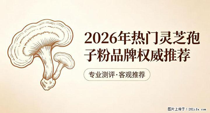灵芝孢子粉含量越高越有效？2026 年七款热门品牌深度实测，肠胃敏感者避坑指南 - 荆州生活资讯 - 荆州28生活网 jingzhou.28life.net